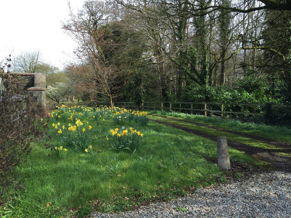 Townley Hall Apartments Slane Rum bild